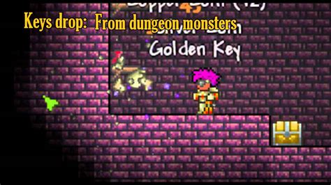 Make a little stretch out of wooden platforms and use the minishark. . How to get golden keys in terraria